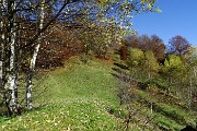 Dalla Culmine di S. Pietro allo Zuc di Maesimo sul sentiero alto estivo 21 DOL il 19 ottobre 2015   - FOTOGALLERY